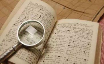 字典作文5篇