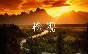 收费自检自查报告5篇
