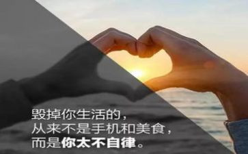 自律会工作总结参考5篇
