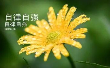 学生自强自立事迹6篇