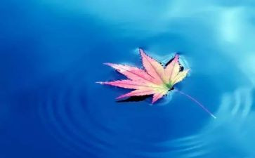 大自然的启示600字作文8篇