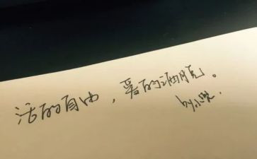 风的自由作文8篇