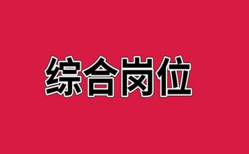 综合岗年度个人总结5篇