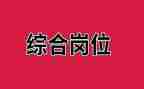 综合岗年度个人总结5篇