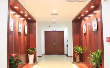 总经办工作总结8篇