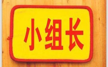 八上学期组长工作总结5篇