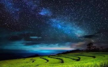 心中最亮的星作文6篇