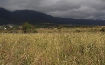 房屋仓储租赁合同6篇