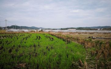 建筑模板租赁合同6篇