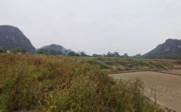 公司商铺租赁合同8篇