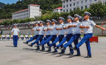 组训年终总结6篇